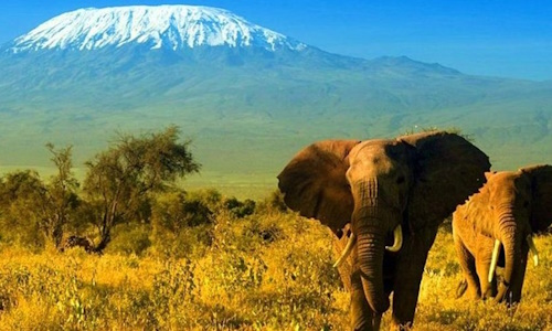 https://robevinsafaris.com/10-day-masai-mara-nakuru-amboseli-tsavo-east-diani/